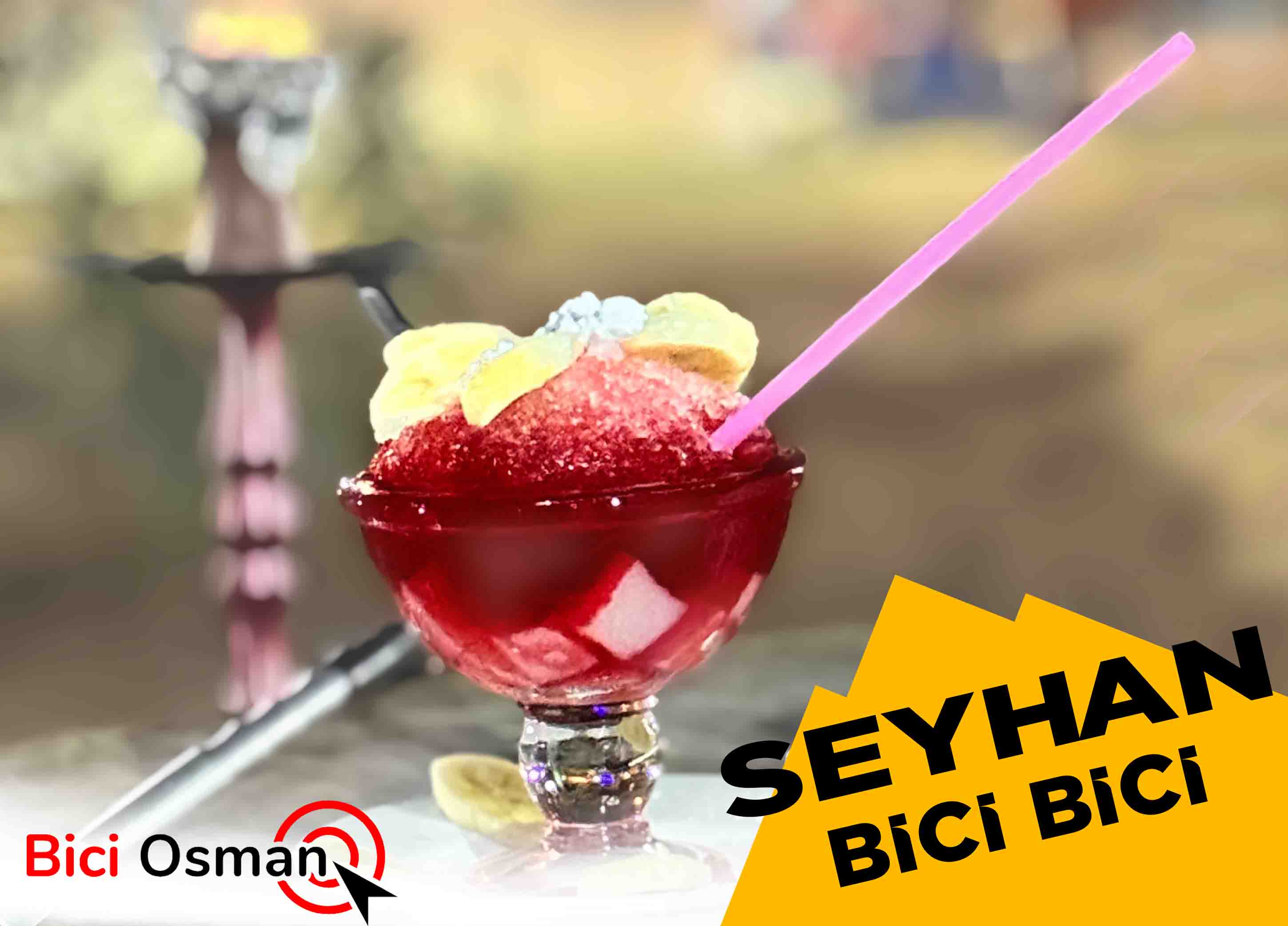 Seyhan Bici Bici
